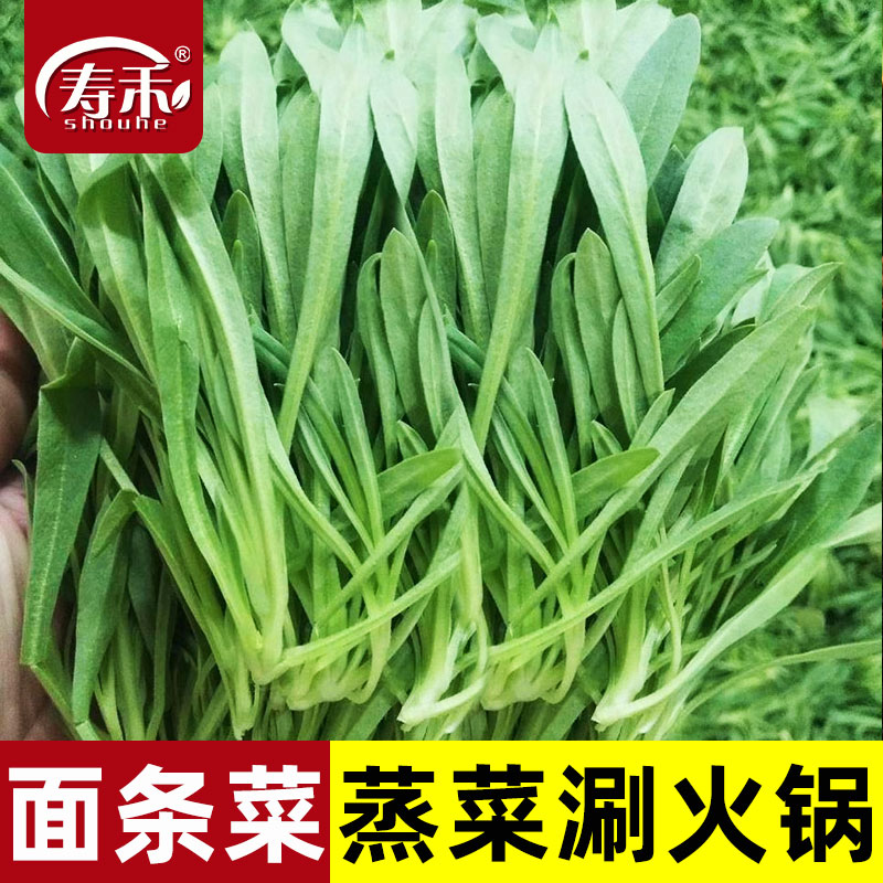 面条菜种子种籽孑菜蔬菜春季籽种盆栽菜籽四季菜种南方青菜-封面