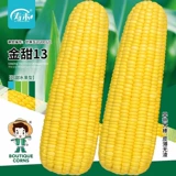 Семена овощей, пригодные для посадки весной. Полный список семян томатов и перца. Какие семена следует сажать весной, 3, 3 февраля?