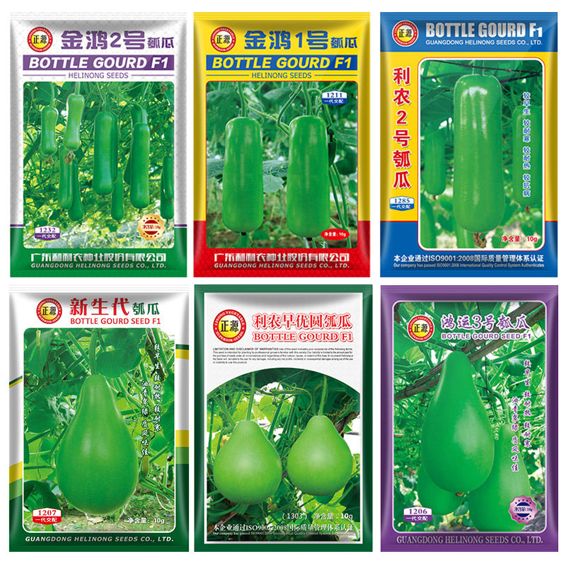 和利正源葫芦瓠子蔬菜孑蒲瓜图片