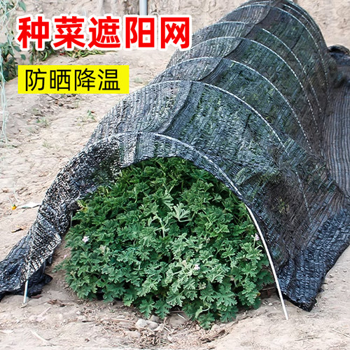 种菜用的遮阳网菜地专用遮阴网