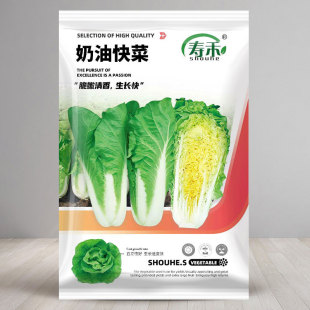 奶油快菜种子种籽四季 小白菜蔬菜青菜菜籽孑子籽种莱快菜种籽菜种