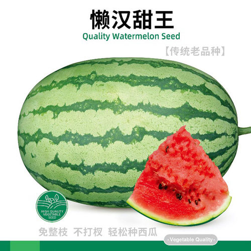 寿禾四季懒汉甜王西瓜种子
