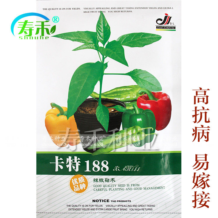 卡特188 辣椒专用嫁接砧木种子线椒尖椒甜椒增产抗病种籽孑1000粒