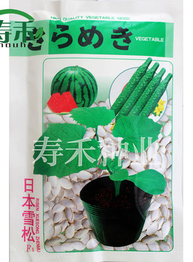 日本雪松  黄瓜西瓜甜瓜嫁接专用砧木白南瓜籽白籽南瓜种子种籽孑