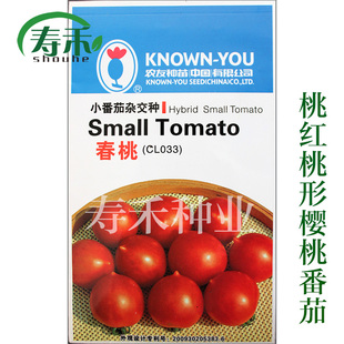 台湾农友春桃小番茄种子桃型耐寒樱桃迷你西红柿种籽四季圣女果孑