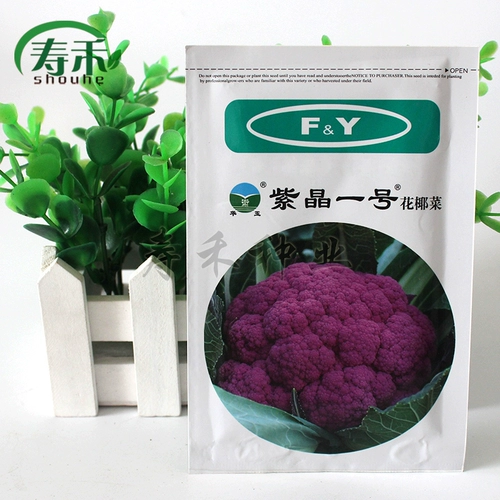 Amei № 1/Zihua № 1 фиолетовая цветная цветная цветная капуста, вена, вена, специальные семена семян овощей