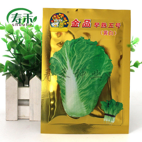 金品5号黄白优选四季蔬菜孑种子