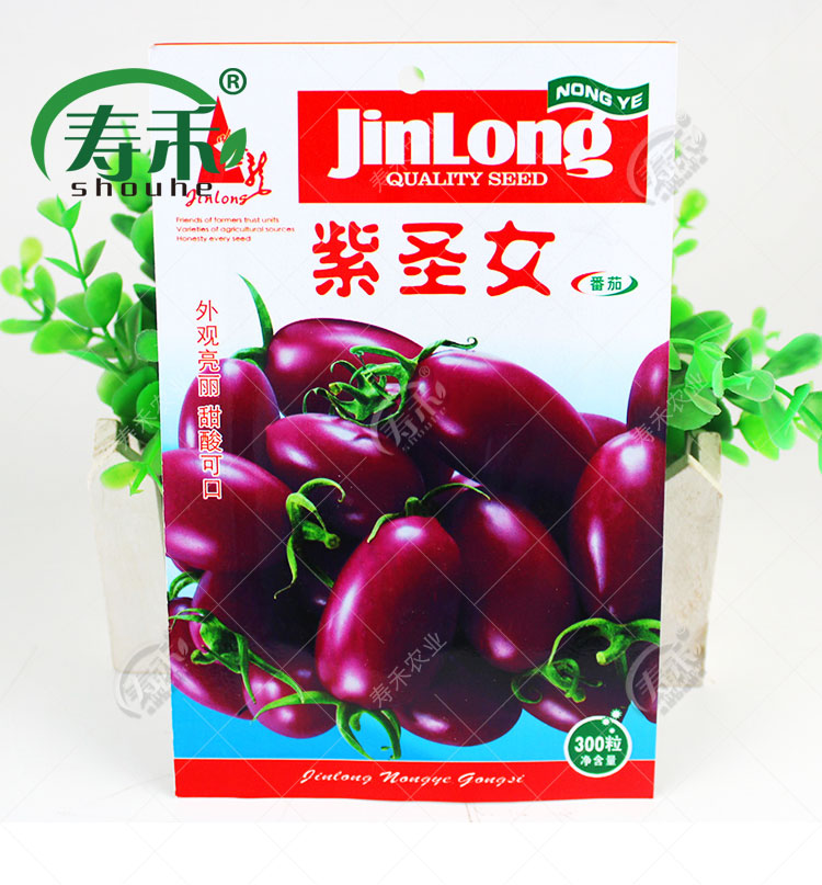紫圣女樱桃小番茄种子紫色圣女果西红柿种籽阳台盆栽四季蔬菜孑子