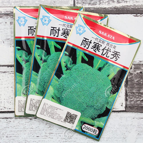 日本蔬菜西兰花种子四季
