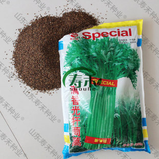 满香光杆茼蒿种子种籽高产皇帝菜蔬菜籽种孑菜籽菜种秋冬茼蒿菜种