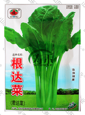 根达菜种子种籽莙荙牛皮菜种菜种厚皮菜苗孑菜籽春季青菜君达菜种