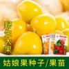 Товары от 寿禾种业[欣欣然公司]