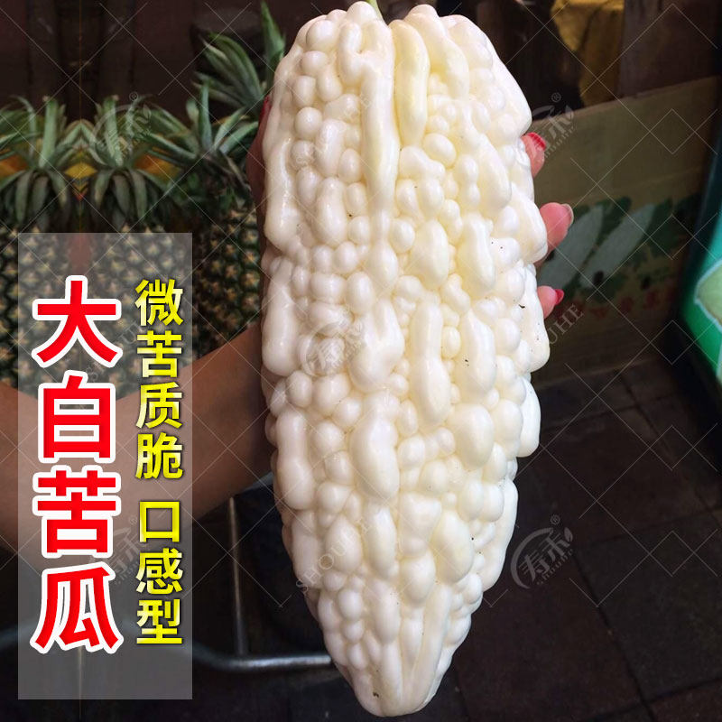 新蓝山大白苦瓜种子 白色超大型中晚熟 春播抗病耐热蔬菜种籽孑