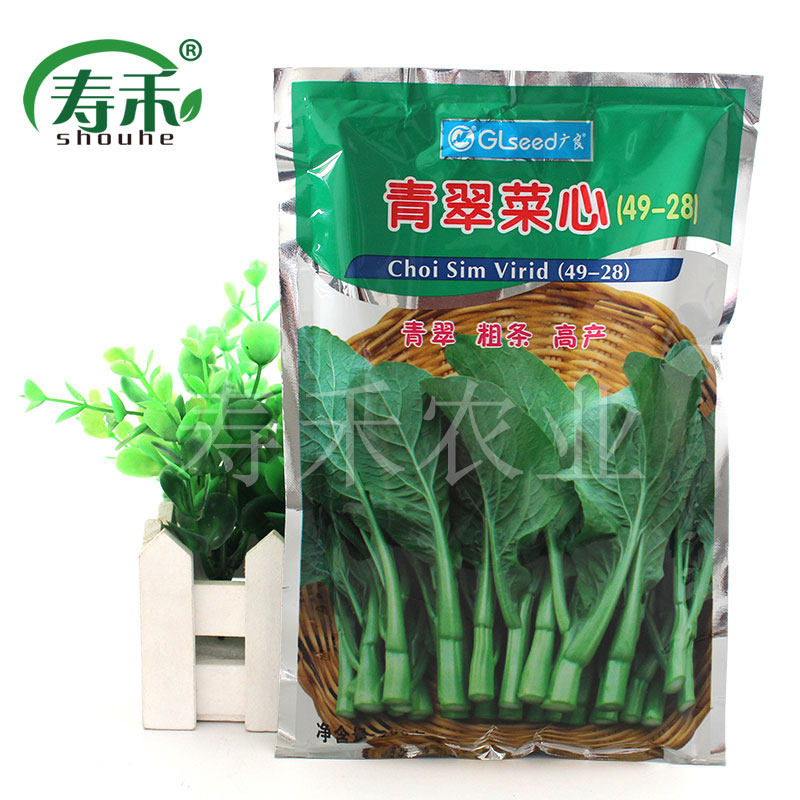 广东菜心种子种籽 四九粗条菜苔耐热高产甜四季播蔬菜菜芯孑菜籽