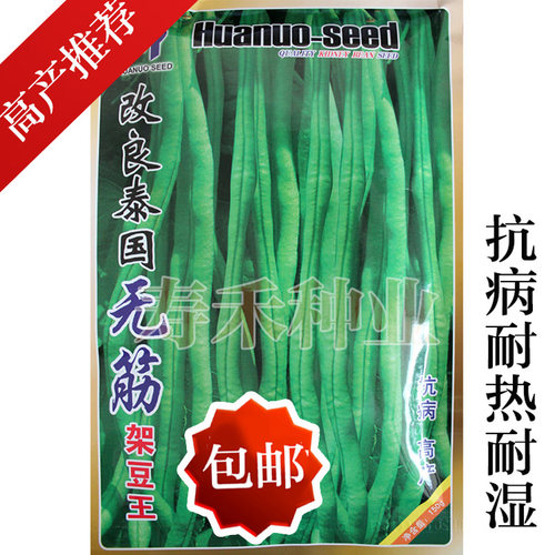 泰国无筋架豆王种子四季蔬菜