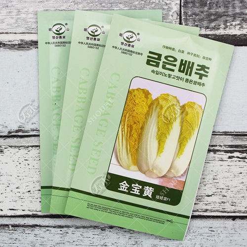 韩国金宝黄娃娃菜种子冬季耐热小