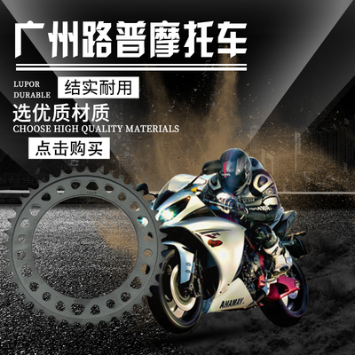 LOPOR CBR900 CBR929 CBR954 CBR1000RR VTR1000链轮链盘牙盘大齿