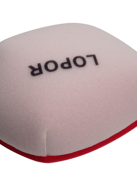 适用GAS GAS MC MC-F EC EC-F EX EX-F 250 350 450 空气滤芯