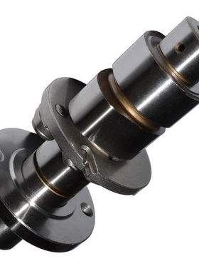 天浪/AN/Burgman/Skywave/400凸轮轴1999-2006