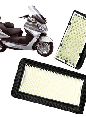 摩托车空气滤清器天浪AN650 SKYWAVE650 BURGMAN650风格滤芯
