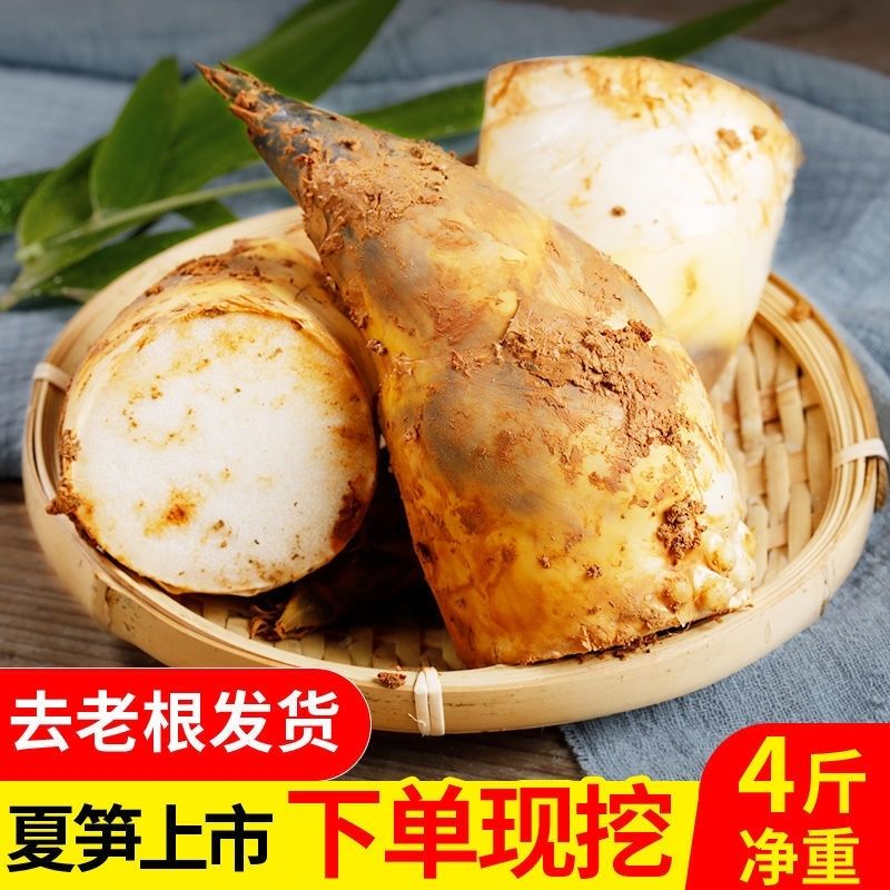 福建绿笋食用现挖马蹄夏季