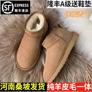 周冬雨同款雪地靴女羊皮毛一体mini短靴河南桑坡加厚保暖情侣棉鞋