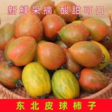 皮球柿子东北新鲜水果红黄虎皮小番茄新开园春桃柿子西红柿花皮球