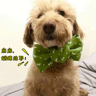 earth rated狗狗口水巾领结猫围脖围巾三角巾围嘴饰品宠物口水巾