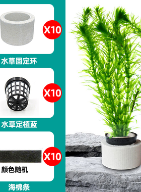 水草定植三件套陶瓷环固定杯下沉杯定植蓝定植环定植棉鱼缸沉环
