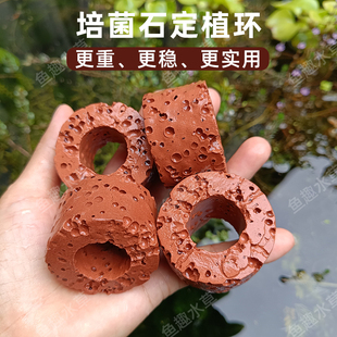 鱼缸水草定植环培菌石 净水石 火山石 大小号陶瓷固定环水草底座