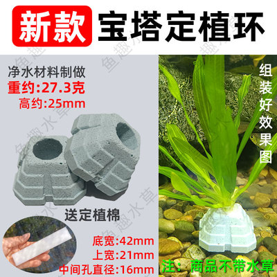 新款宝塔水草定植环网红款金字塔固定神器固定底座培菌净水造景