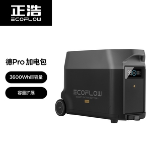 EcoFlow正浩户外移动电源220v家用应急停电备用大容量德pro加电包