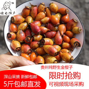 新鲜金樱子现摘野生金罂子鲜果泡酒中药材刺梨子山石榴果 包邮