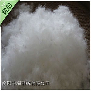 散装水洗羽绒 95%白鹅绒 羽绒服原料羽绒被服半成品 填充物