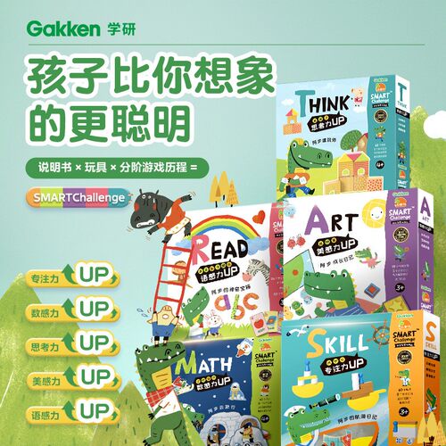 学研小康轩桌游益智积木训练玩具