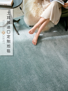 易普美家土耳其进口高级地毯卷材定制加厚现代轻奢纯色满铺走廊毯
