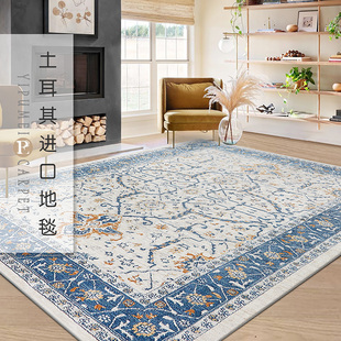 土耳其进口波斯地毯客厅现代卧室美式轻奢欧式复古耐脏地垫茶几毯