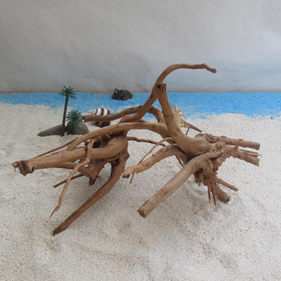 寄居蟹攀爬杜鹃根栖根小沉木爬宠箱莫斯树爬虫饲养缸鱼缸造景木头