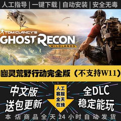 幽灵行动：荒野完全版赠修改器网盘中文存档单机PC离线游戏