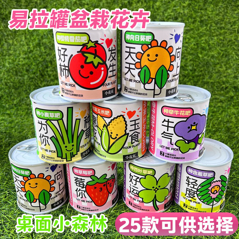 易拉罐盆栽室内桌面迷你小绿植学生开学礼物种植罐头观景盆栽