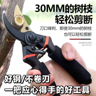 日本加厚sk5钢树枝剪刀强力剪粗枝园林剪修剪果树修枝剪园艺剪子