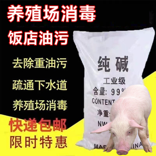 工业纯碱粉固体碳酸钠洗餐具去油污垢厨房清洗清洁碱去油污垢清洁