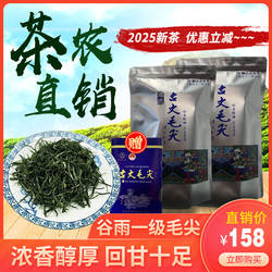 湘西古丈毛尖2025新茶谷雨炒青绿茶高山浓香型茶叶一斤装茶农直销