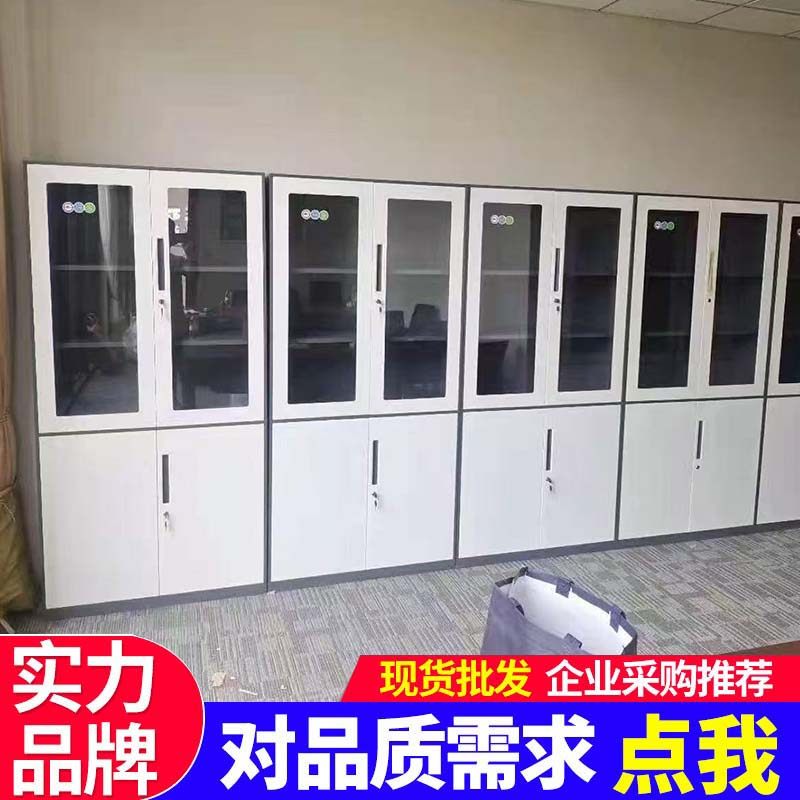 办公室钢制文件柜铁皮柜财务档案凭证柜员工储物矮柜带锁玻璃书柜