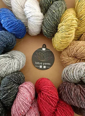 盛莲ALPACA TWEED美利奴羊毛线手工编织花呢夹花中粗手编羊驼毛线