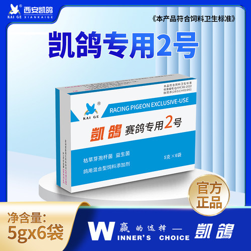 鸽子凯鸽2号乎吸不畅张嘴不爱飞