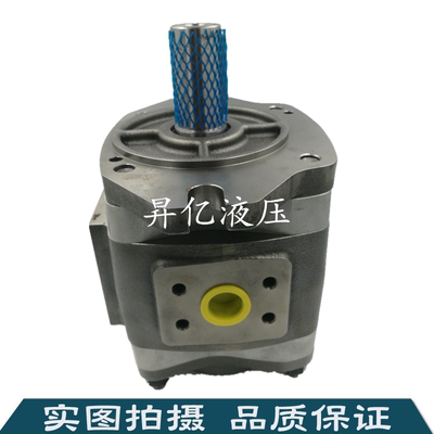 德国进口福伊特齿轮泵VOITH/MVT-IPVP5-40-101注塑机伺服油泵