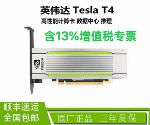 英伟达NVIDIA TESLA T4 16G特斯拉 专业计算显卡 运算加速显卡