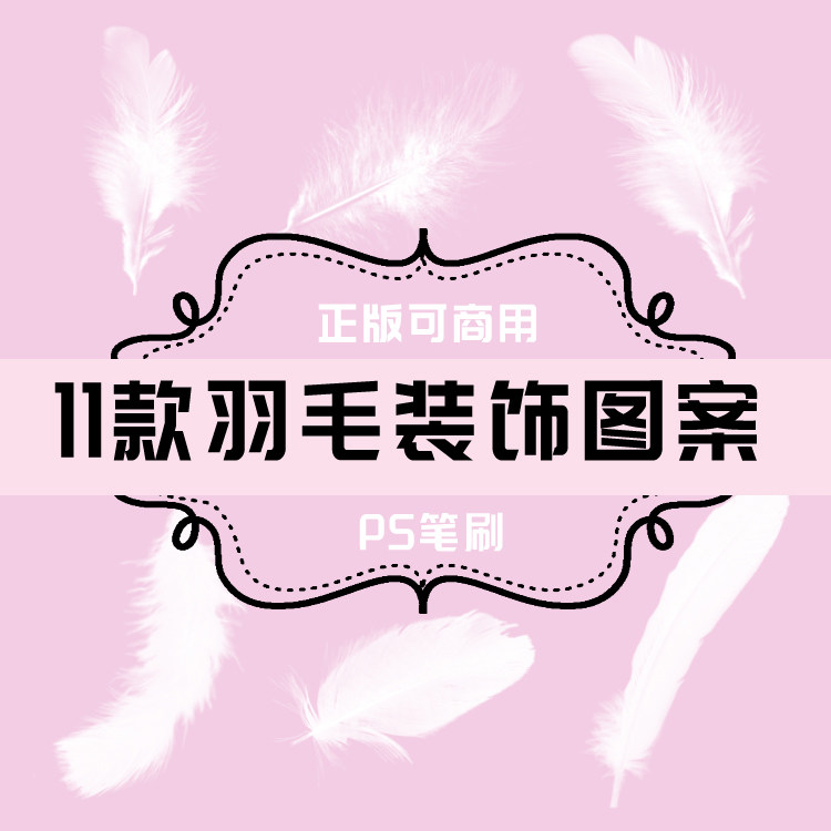 b050 ps笔刷 羽毛装饰图案11款