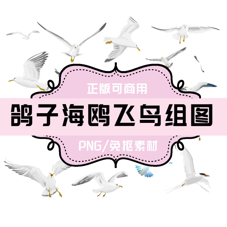 p0021免抠素材透明底素材 png鸽子 png和平鸽 png鸟 png海鸥